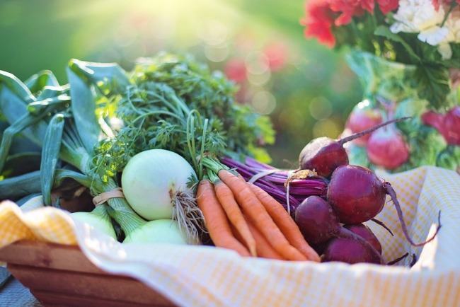 Healthy markets Hartford vegan restaurants near you